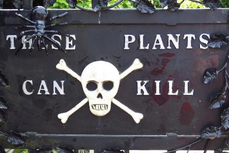 Einen Totenkopf würde man am Eingang einer Gartenanlage nicht unbedingt erwarten. Genau dieser Totenkopf zieht aber zahlreic... Einen Totenkopf würde man am Eingang einer Gartenanlage nicht unbedingt erwarten. Genau dieser Totenkopf zieht aber zahlreic...