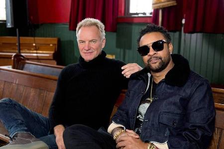 Gesucht und gefunden? Sting (l.) und Shaggy machen jetzt gemeinsame Sache Gesucht und gefunden? Sting (l.) und Shaggy machen jetzt gemeinsame Sache