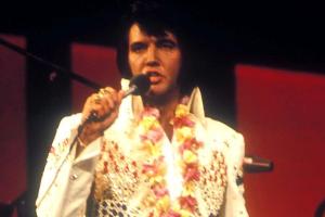 Priscilla Presley behauptet: Elvis wollte sterben