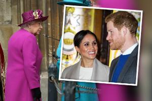 Die Queen kann ihn nicht leiden: Heiratet Prinz Harry mit Bart?
