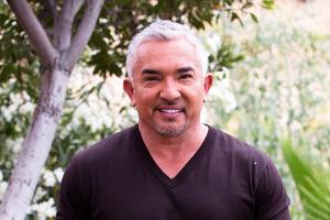 Cesar Millan: "Meine Kinder wuchsen mit 65 Hunden auf"