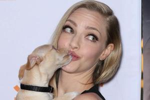 Amanda Seyfried kuschelte bei einer Veranstaltung mit einem Chihuahua namens Buttercup