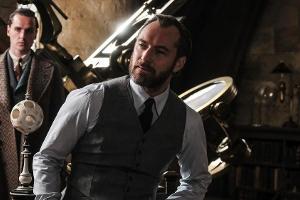 "Phantastische Tierwesen 2": Dumbledores Homosexualität kein Thema