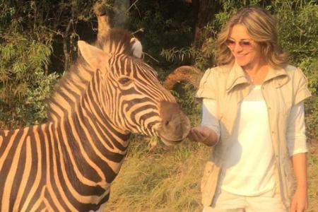 Elizabeth Hurley hatte die Gelegenheit, ein Zebra zu streicheln Elizabeth Hurley hatte die Gelegenheit, ein Zebra zu streicheln