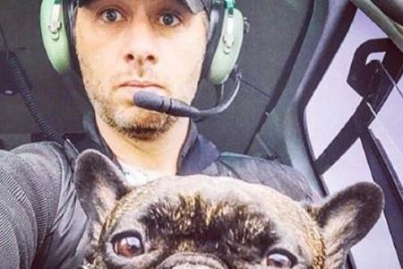 Zach Braff ist ein echter Hundeliebhaber Zach Braff ist ein echter Hundeliebhaber