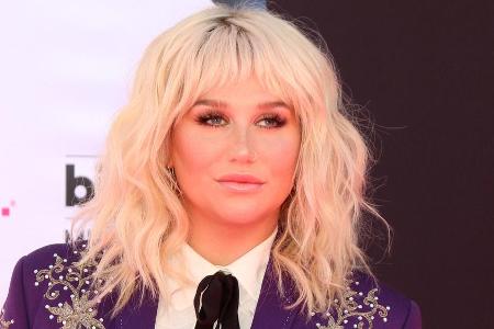 Sängerin Kesha möchte selbst in der Karibik nicht auf ihre Katzen verzichten Sängerin Kesha möchte selbst in der Karibik nicht auf ihre Katzen verzichten