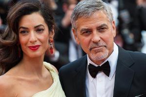 George Clooney: "Amal wurde sexuell belästigt"