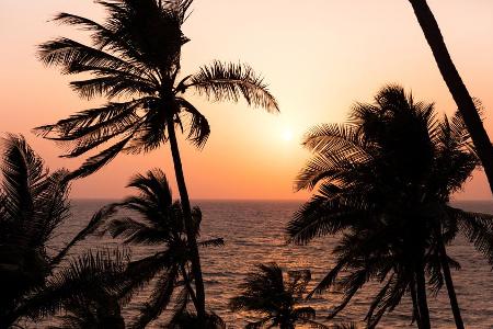 Von der portugiesischen Kolonie zum Aussteigeridyll - Goa hat sich über die Jahre zum wahr gewordenen Traum von Bob-Marley-F... Von der portugiesischen Kolonie zum Aussteigeridyll - Goa hat sich über die Jahre zum wahr gewordenen Traum von Bob-Marley-F...