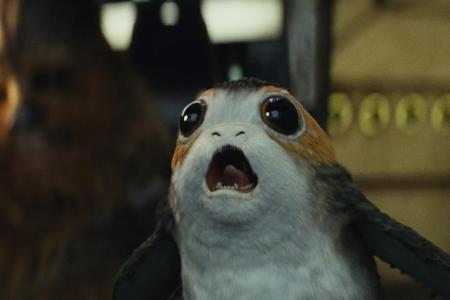 Ein Porg in Ein Porg in