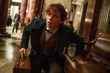 Newt Scamander (Eddie Redmayne) spielt auch im zweiten Teil von Newt Scamander (Eddie Redmayne) spielt auch im zweiten Teil von