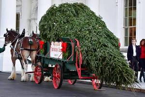 Melania Trump: Weihnachtsbaum-Empfang im Luxus-Outfit