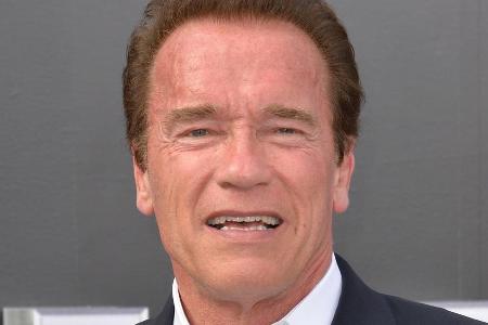 Arnold Schwarzenegger feiert die USA Arnold Schwarzenegger feiert die USA