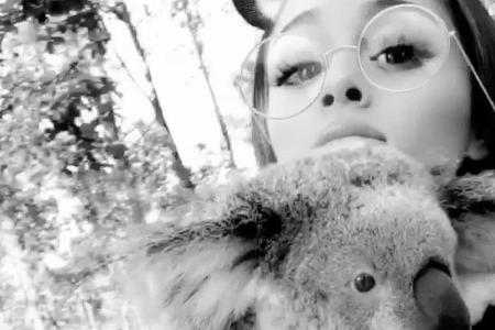 Ariana Grande möchte den Koala gar nicht mehr loslassen Ariana Grande möchte den Koala gar nicht mehr loslassen