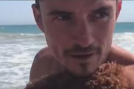 Ein Bild zum Verlieben: Orlando Bloom kuschelt mit Pudel Mighty Ein Bild zum Verlieben: Orlando Bloom kuschelt mit Pudel Mighty