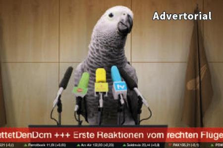 In dem neuen Werbefilm von BILD ist ein Papagei ein Nachrichtensprecher In dem neuen Werbefilm von BILD ist ein Papagei ein Nachrichtensprecher