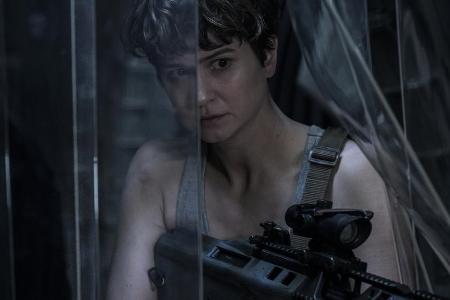 Katherine Waterston darf sich in Katherine Waterston darf sich in