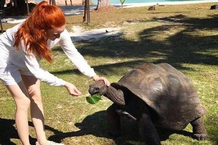 Barbara Meiers schönste Urlaubserinnerung: ihre Begegnung mit einer Schildkröte Barbara Meiers schönste Urlaubserinnerung: ihre Begegnung mit einer Schildkröte