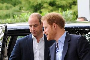 Prinz William und Prinz Harry verleihen Diana Award