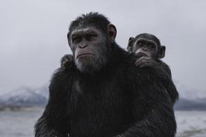 "Planet der Affen: Survival": Ein Kriegsfilm mit Primaten