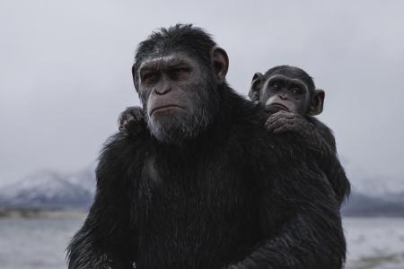Anführer Caesar will mit seinen Affen nur in Frieden leben - doch ein grausamer Soldat (Woody Harrelson) hat etwas dagegen Anführer Caesar will mit seinen Affen nur in Frieden leben - doch ein grausamer Soldat (Woody Harrelson) hat etwas dagegen