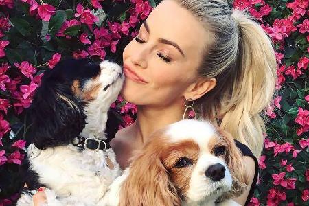 Julianne Hough und ihre beiden Hunde Lexi und Harley Julianne Hough und ihre beiden Hunde Lexi und Harley