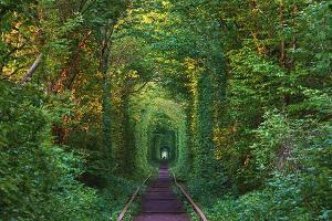 Im "Tunnel der Liebe": Europas romantischster Ort liegt in der Ukraine