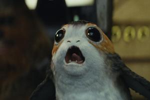 "Star Wars"-Held verrät: Porgs sind nicht so nett, wie sie aussehen