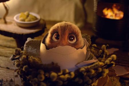 Ein gewöhnlicher Hase, ein normales Huhn - das Ergebnis dieser Liebe? Der Osterhase! Ein gewöhnlicher Hase, ein normales Huhn - das Ergebnis dieser Liebe? Der Osterhase!