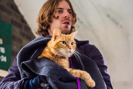 James (Luke Treadaway) und Bob sind unzertrennlich James (Luke Treadaway) und Bob sind unzertrennlich
