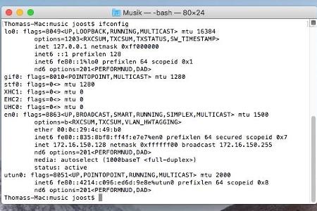 Im Terminal kann man Netzwerkproblemen auf den Grund gehen.
