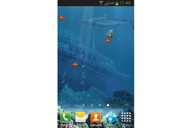 Shark Reef Live Wallpaper Free