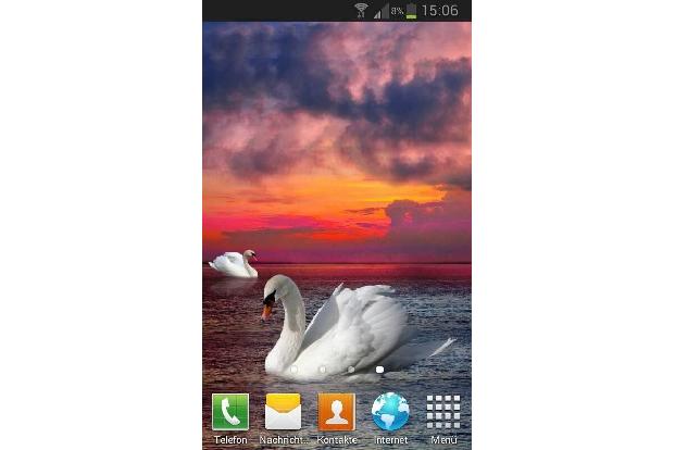 Vögel Live Wallpaper