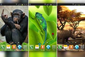 Mit diesen Live-Hintergründen wird das Android tierisch