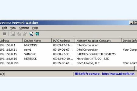 Wireless Network Watcher - Mit diesem Tool haben Sie Ihr Netzwerk stets im Blick. So werden zum Beispiel alle gerade verbund...