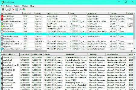 Currprocess überwacht Ihr System: Alle Systemprozesse werden mit Details gelistet.