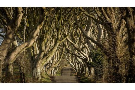 Causeway Coastal Route