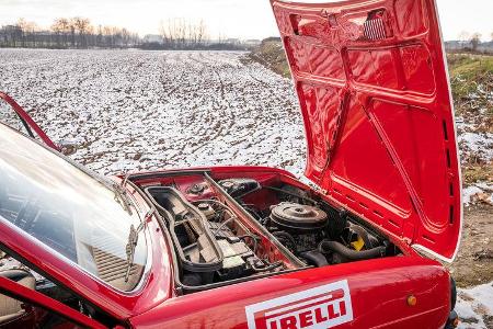 Alfa Romeo Alfasud Ti Bimotore 4×4 Wainer (1974)