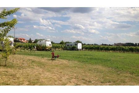 Stellplatz am Weingut Schäfer