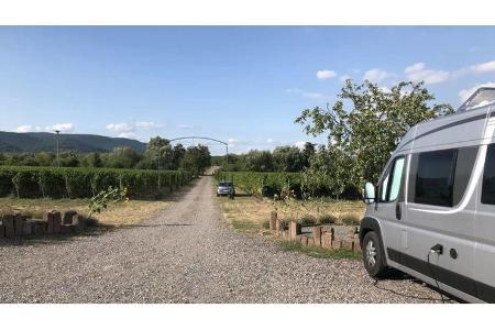 Weingut Fitz-Schneider