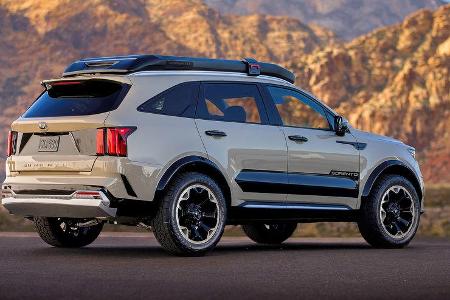 11/2020, Kia Sorento Zion Edition