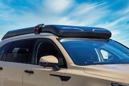 11/2020, Kia Sorento Zion Edition