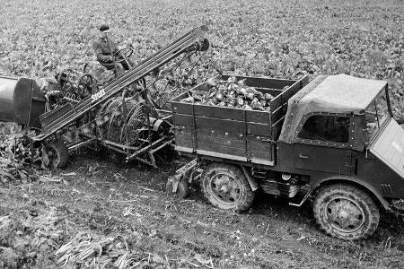 MB Trac JubilŠum und Unimog Ackerschlepper