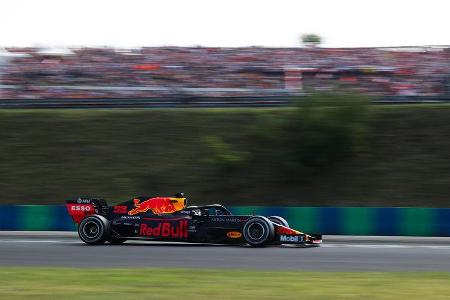 Max Verstappen - Red Bull - GP Ungarn 2019 - Budapest - Rennen