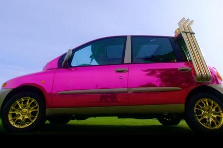Fiat Multipla Pink eBay Auktion UK