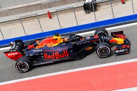 Daniel Ticktum - Red Bull - F1-Test Bahrain - 3. April 2019