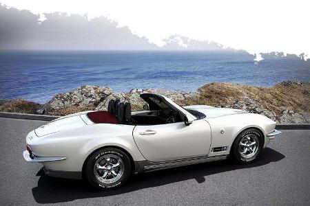 Mitsuoka Rock Star