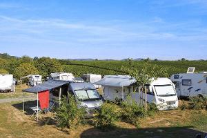 Sommerurlaub inmitten von Weinreben