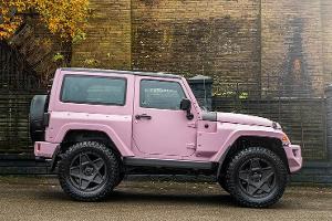 Ein Schweinchen namens Jeep