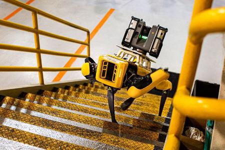 Fluffy Roborterhund Ford Boston Dynamics Fluffy Roborterhund Ford Boston Dynamics