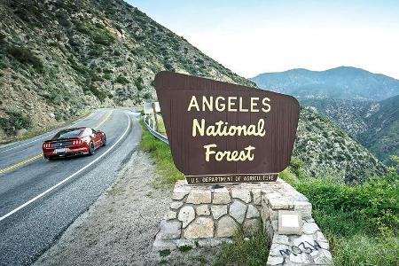 Ford Mustang Shelby GT350 auf dem Angeles Crest Highway
